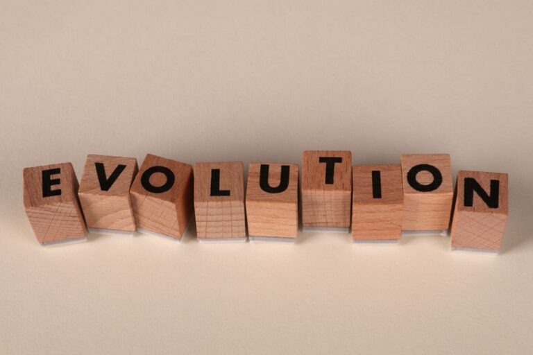 5 Essential Steps for Your Personal Evolution Journey